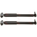 Set ammortizzatori TRW JGT431T