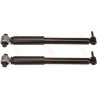 Set ammortizzatori TRW JGT431T