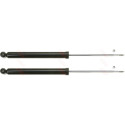 Set ammortizzatori TRW JGT440T