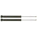 Set ammortizzatori TRW JGT443T