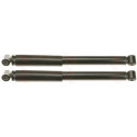 Set ammortizzatori TRW JGT449T