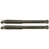 Set ammortizzatori TRW JGT449T