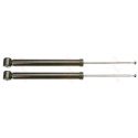 Set ammortizzatori TRW JGT469T