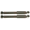 Set ammortizzatori TRW JGT480T