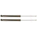 Set ammortizzatori TRW JGT556T