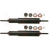 Set ammortizzatori TRW JHE259T