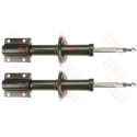 Set ammortizzatori TRW JHM195T