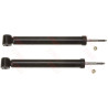 Set ammortizzatori TRW JHT222T