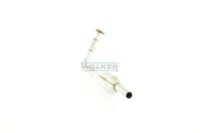 Walker 20061 Catalyst