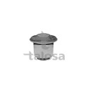 Sospensione, Forcellone TALOSA 57-08617