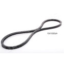 Cinghia trapezoidale JAPANPARTS DT-13X1050LA