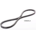 Cinghia trapezoidale JAPANPARTS DT-13X925LA