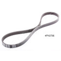 Cinghia trapezoidale scanalata JAPANPARTS JAPDV-4PK0790