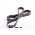 Cinghia trapezoidale scanalata JAPANPARTS JAPDV-5PK1365
