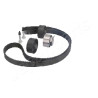 Set cinghie di distribuzione JAPANPARTS JAPKDD-005