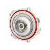 Pompa dell&#39;acqua JAPANPARTS JAPPQ-0900