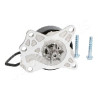 Pompa dell&#39;acqua JAPANPARTS JAPPQ-272
