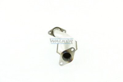 Catalizzatore Walker 20776