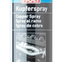 Spray per catena