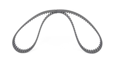 Cinghia dentata