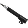 Ammortizzatore SACHS 317 107