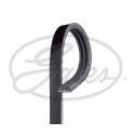 Cinghia trapezoidale GATES V-poly 3PK881SF