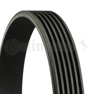 Cinghia trapezoidale trapezoidale ContiTech 6PK1780