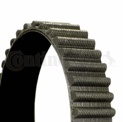 Cinghia di distribuzione ContiTech CT1158