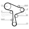 Kit pompa acqua + cinghia di distribuzione ContiTech CT1168WP1