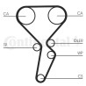 Kit pompa acqua + cinghia di distribuzione ContiTech CT1179WP3