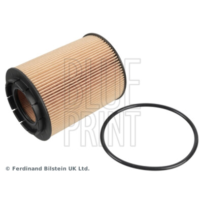 Filtro olio Blueprint ADA102103BLU