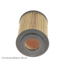 Filtro olio Blueprint ADA102104BLU