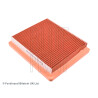 Filtro aria BLUEPRINT ADF122206BLU