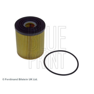 Filtro olio Blueprint ADG02124BLU
