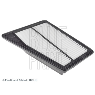 Filtro aria BLUEPRINT ADG022109