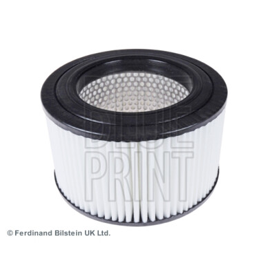 Filtro aria BLUEPRINT ADG02229BLU