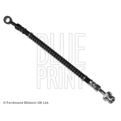 Flessibile del freno BLUEPRINT ADG053116BLU