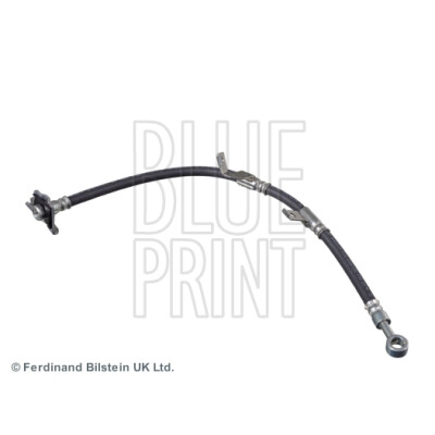 Flessibile del freno BLUEPRINT ADG053136BLU