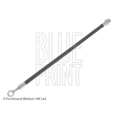 Flessibile del freno BLUEPRINT ADG053141BLU
