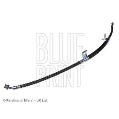 Flessibile del freno BLUEPRINT ADG053165BLU