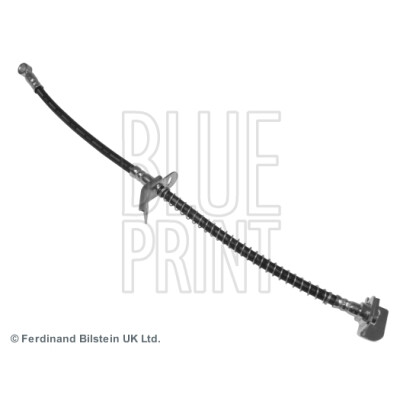 Flessibile del freno BLUEPRINT ADG053216BLU