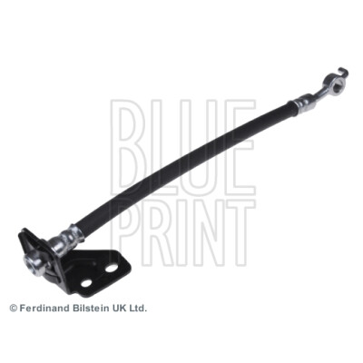 Flessibile del freno BLUEPRINT ADG053270