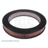 Filtro aria BLUEPRINT ADH22209