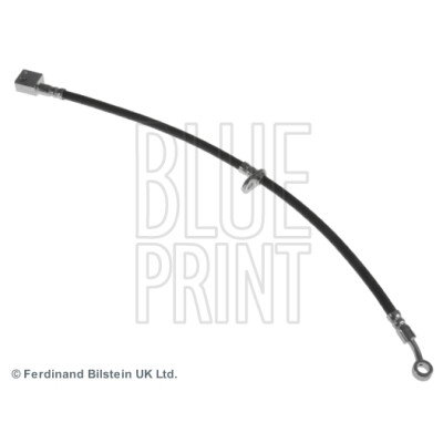 Flessibile del freno BLUEPRINT ADH253194BLU