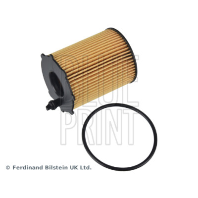 Filtro dell'olio BLUEPRINT ADM52119BLU