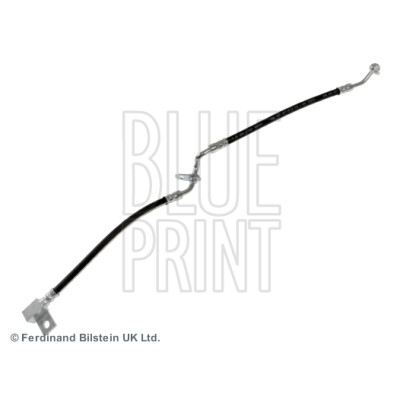 Flessibile del freno BLUEPRINT ADM553104BLU