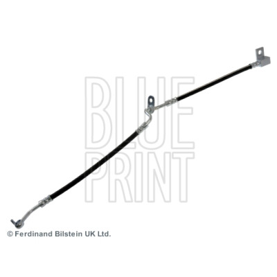 Tubo flessibile del freno BLUEPRINT ADM553105