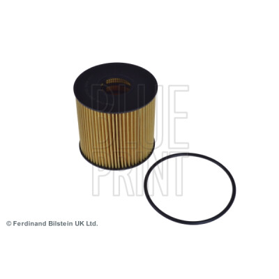 Filtro dell'olio Blueprint ADN12120BLU