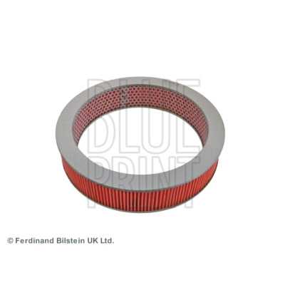 Filtro aria BLUEPRINT ADN12202