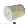 Filtro aria BLUEPRINT ADN12214BLU